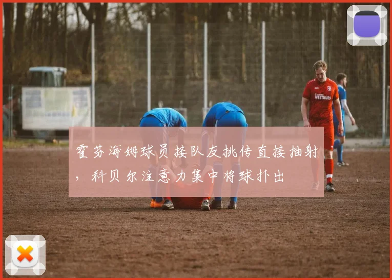 霍芬海姆球员接队友挑传直接抽射，科贝尔注意力集中将球扑出