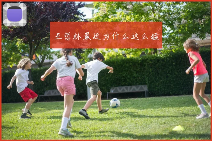 王哲林最近为什么这么猛